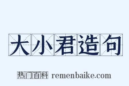 大小君造句是什么意思的图片